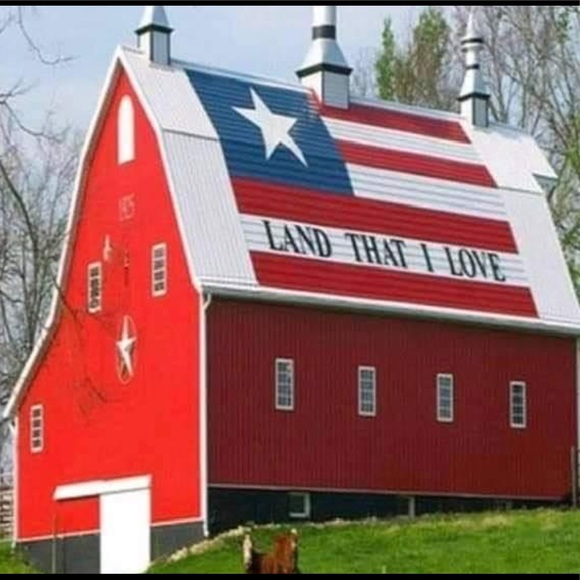 Meet your Posher, Bonnie - Picture 3 of 16